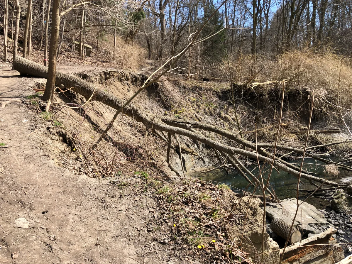 erosion-1 Dirt path along top of eroded bank of river.