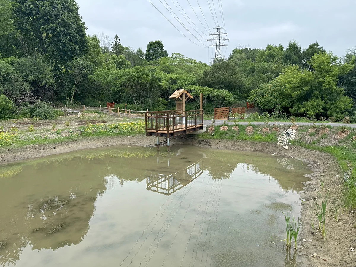 Pond in foreground with viewing platform and trees in background