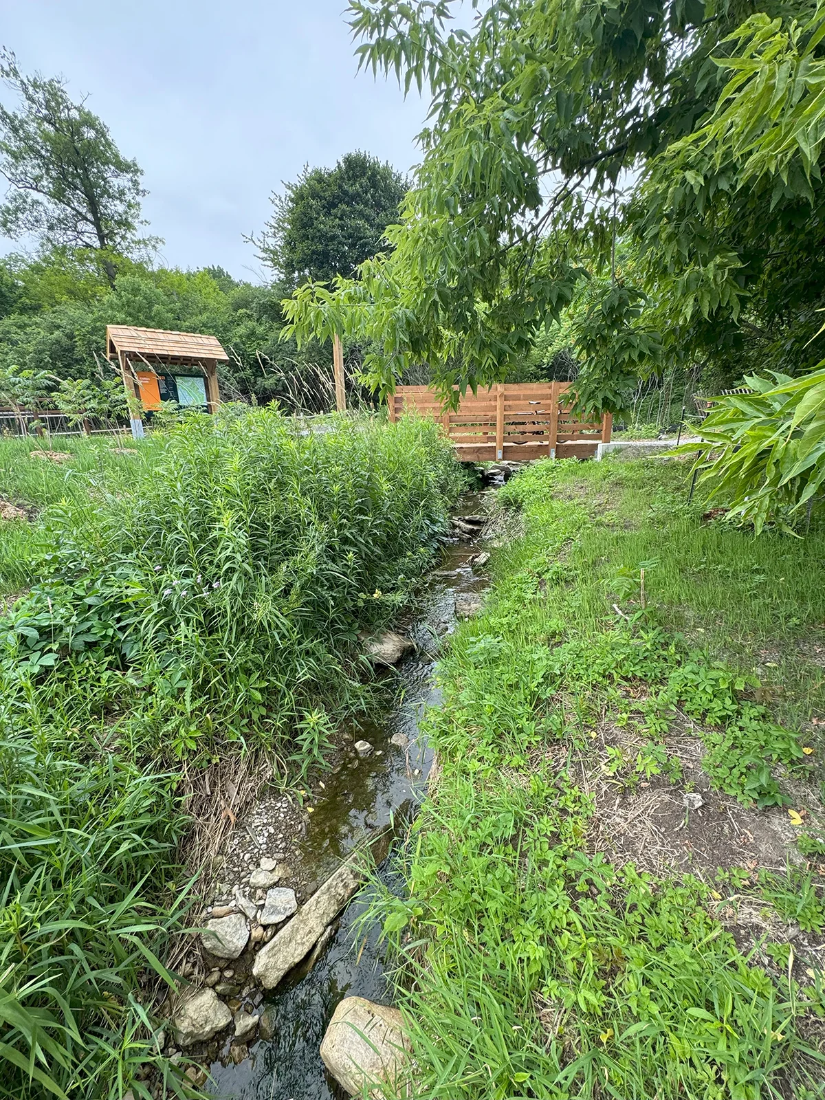 Creek with pedestrian bridge and interpretive signage and trees in background.