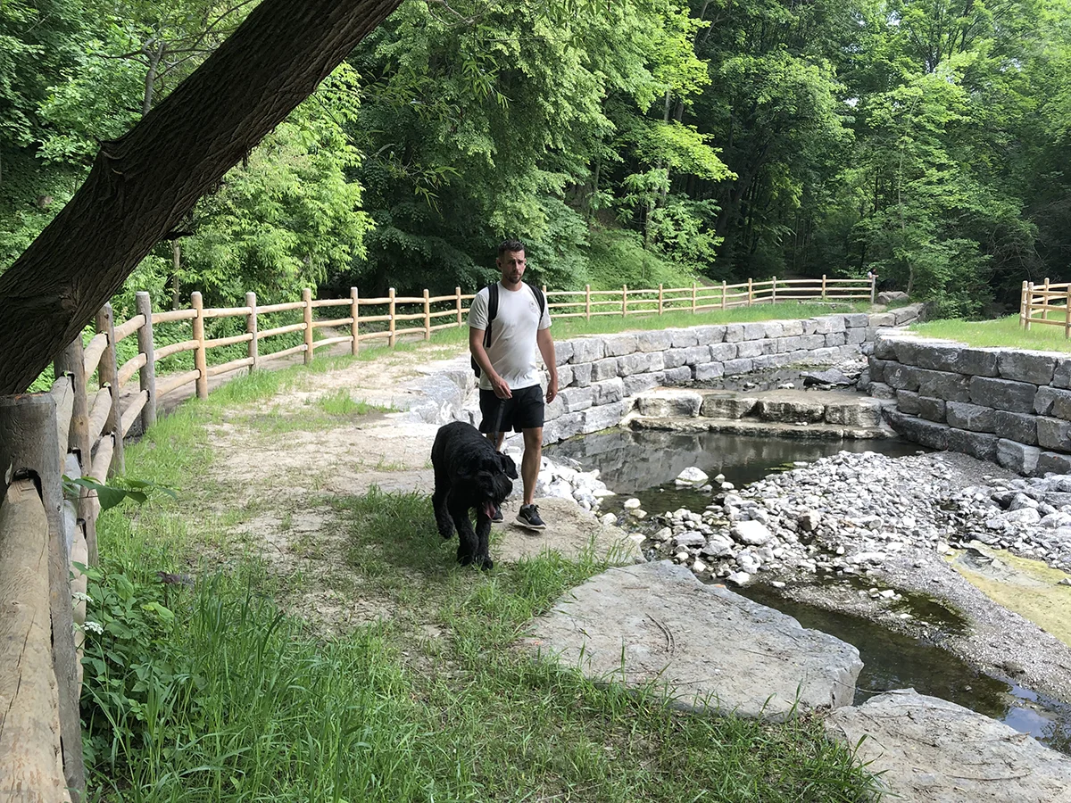 Creek with rock wall banks and man with dog on path