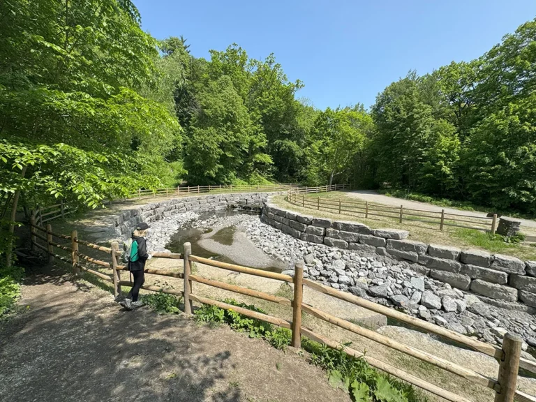 Stream with rip rap banks and trees in background with wooden fence and woman hiker in foreground on a sunny summer day.